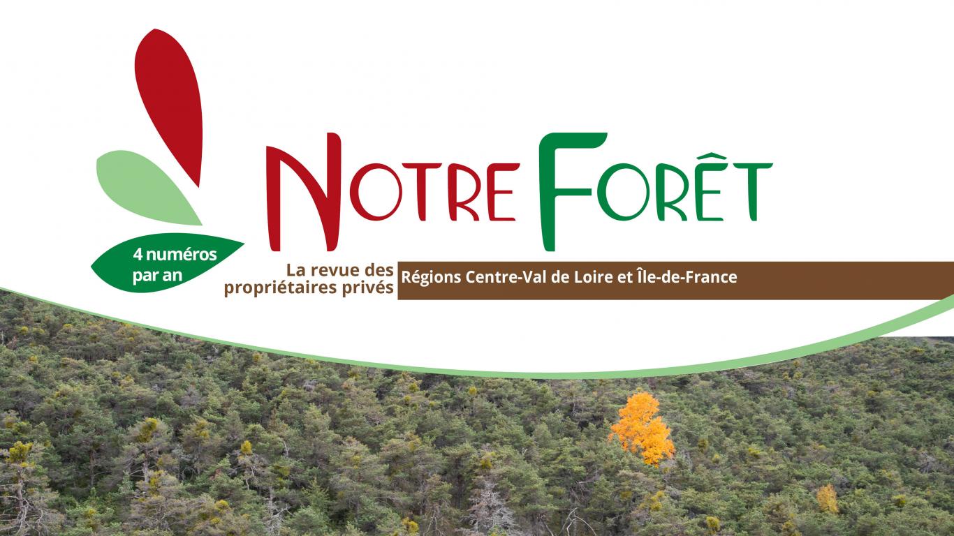 NF