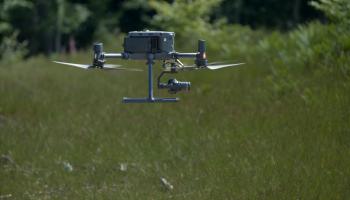 Drone Sylvain Gaudin © CNPF