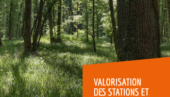 Guide des habitats