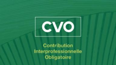 CVO