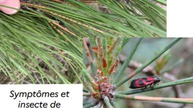 Bilan DSF Centre 2025