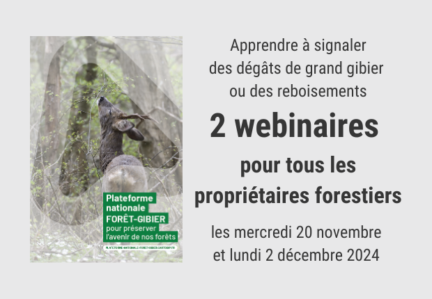 2 webinaires en 2024 pour apprendre à utiliser la plateforme forêt-gibier