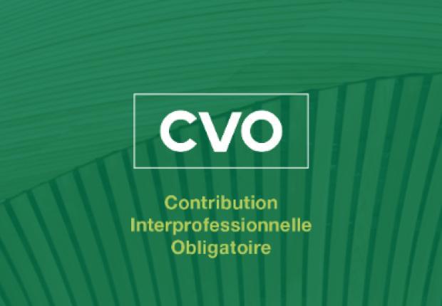 CVO