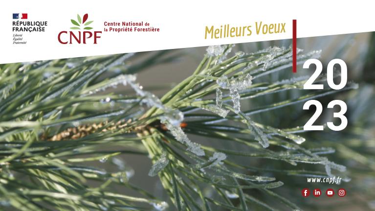 Carte de voeux CNPF 2023